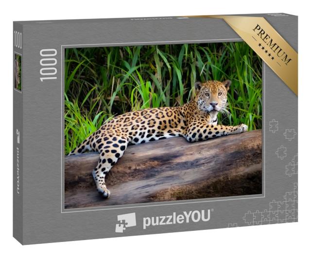 Puzzle 1000 Teile „Ein Jaguar im peruanischen Amazonasgebiet“