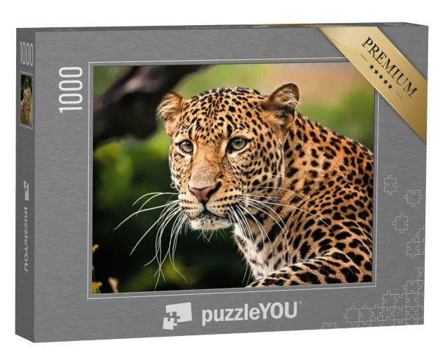 Puzzel 1000 stukjes „Het portret van de Javaanse luipaard“