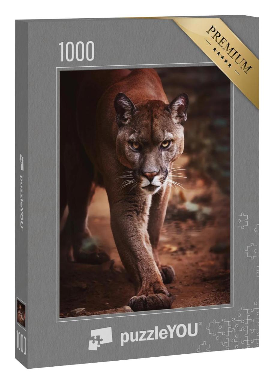 Puzzle 1000 Teile „Ein Puma schleicht sich an“