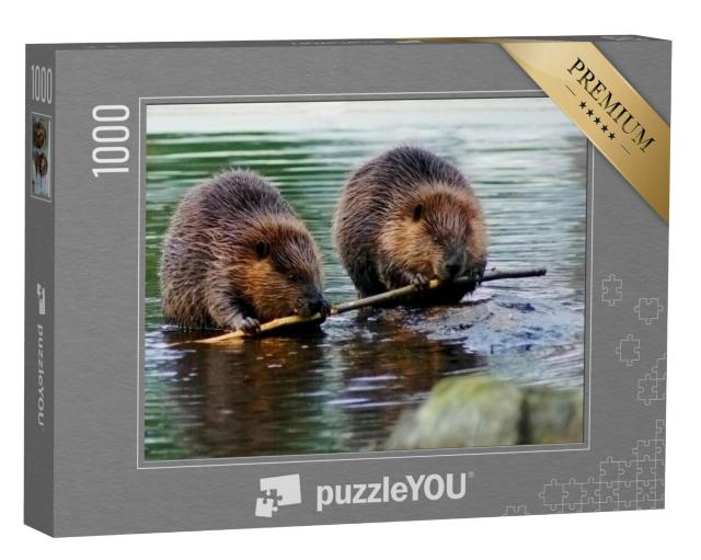 Puzzel 1000 stukjes „Een paar bevers“