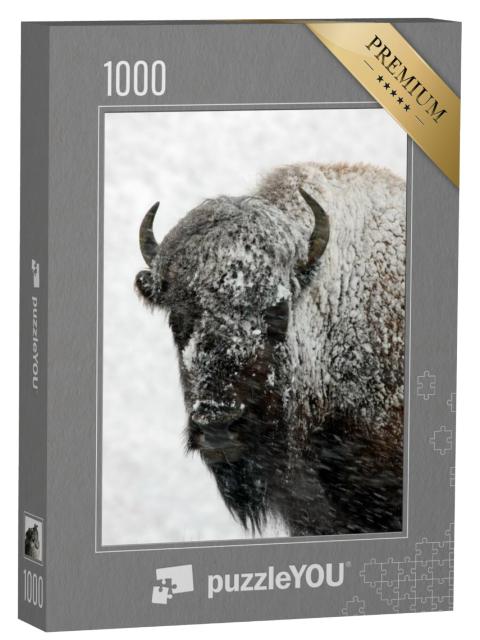 Puzzel 1000 stukjes „Bizons in de sneeuw, Yellowstone National Park“