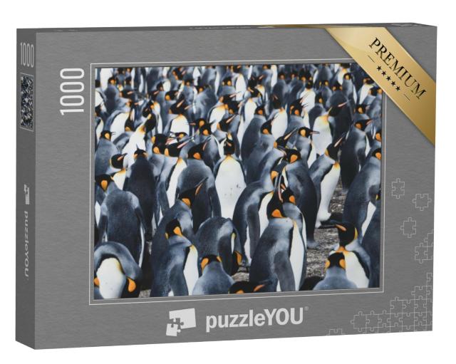 Puzzel 1000 stukjes „Grote kolonie koningspinguïns op de Falklandeilanden“