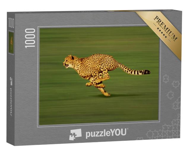 Puzzel 1000 stukjes „Volwassen jachtluipaard sprint“