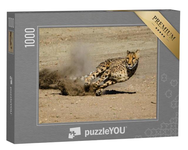 Puzzel 1000 stukjes „Cheetah“