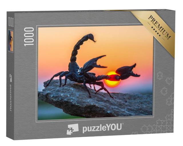 Puzzel 1000 stukjes „De keizerschorpioen“