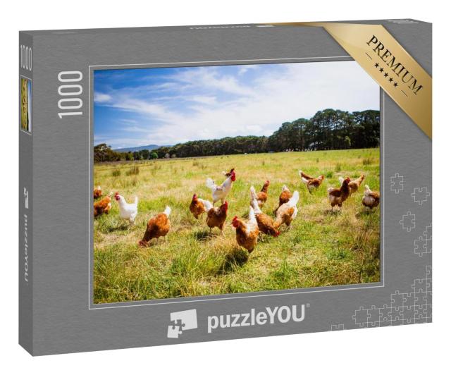 Puzzle 100 Teile „Eine Hühnerherde läuft frei, Australien“