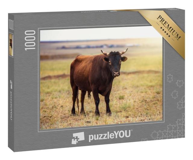 Puzzle „Porträt eines braunen Bullen auf einem Feld“