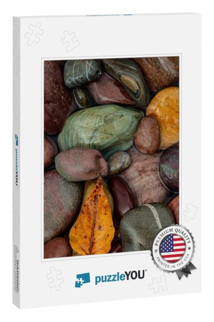 Colorful River Rocks Along the Middle Fork of the Flathea... Jigsaw Puzzle