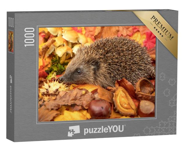 Puzzel 1000 stukjes „Egels in de herfst met kastanjes en kleurrijke herfstbladeren“