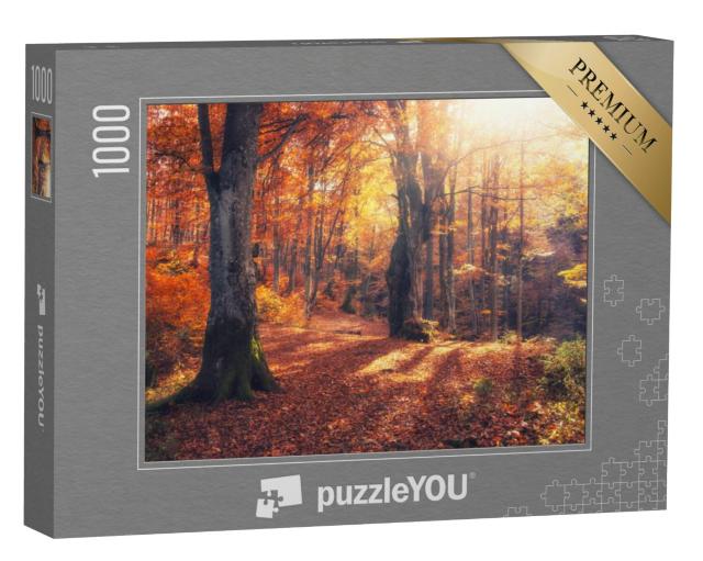 Puzzel 1000 stukjes „Een herfstochtend in het kleurrijke bos met zonnestralen“