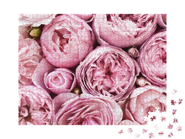 Puzzle 1000 Teile „Dicht gedängte, rosa-samtige Rosenblüten“