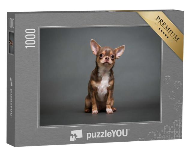 Puzzel 1000 stukjes „Chihuahua puppy“