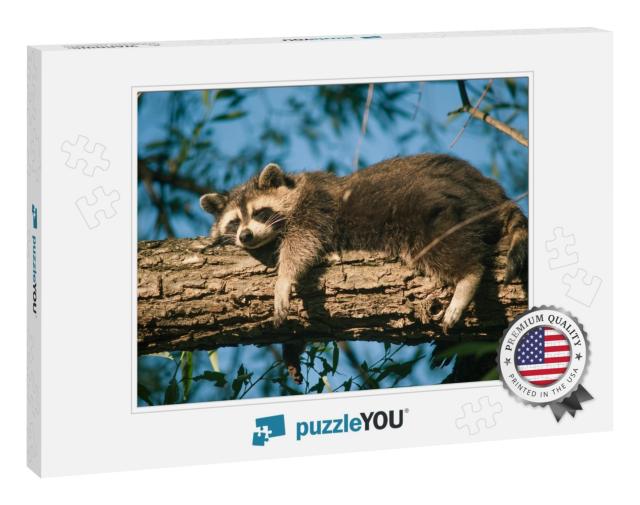 One Exhausted Trash Panda Catches Up on Sleep in a Local... Jigsaw Puzzle