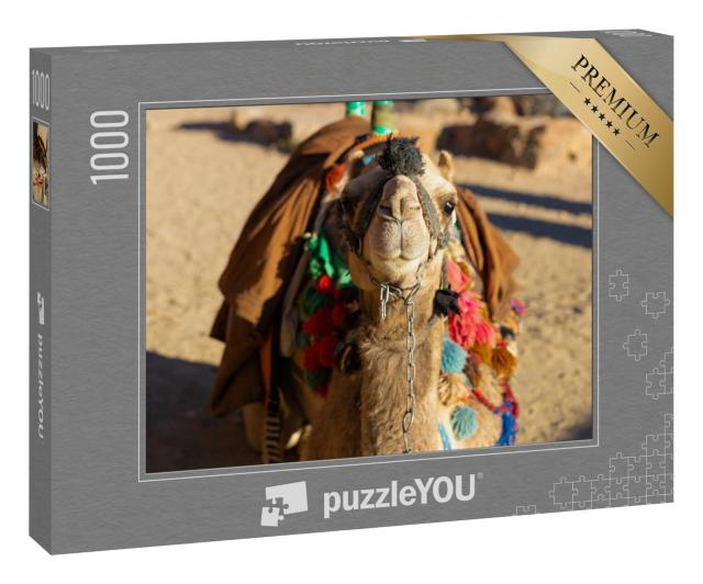 Puzzle 1000 Teile „Dromedar Kamel vor dem Sand der heißen Wüste, Ägypten, Sinai“