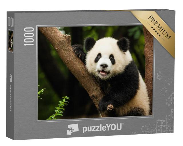 Puzzel 1000 stukjes „Panda in zijn natuurlijke omgeving“