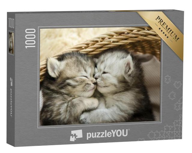 Puzzel 1000 stukjes „Twee schattige slapende tijgerkittens“