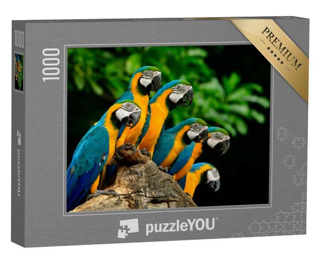 Puzzel 1000 stukjes „Veel blauw met gele of blauw met gouden ara's op een boomstam“