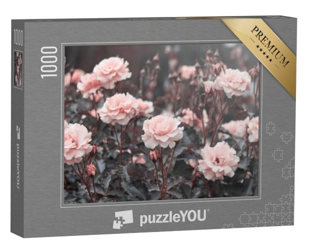 Puzzel 1000 stukjes „Delicate roze rozen in de tuin“