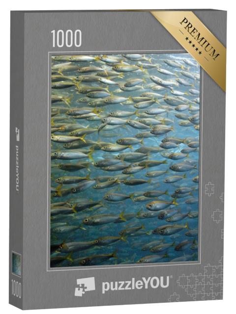 Puzzel 1000 stukjes „Shoal sardines“