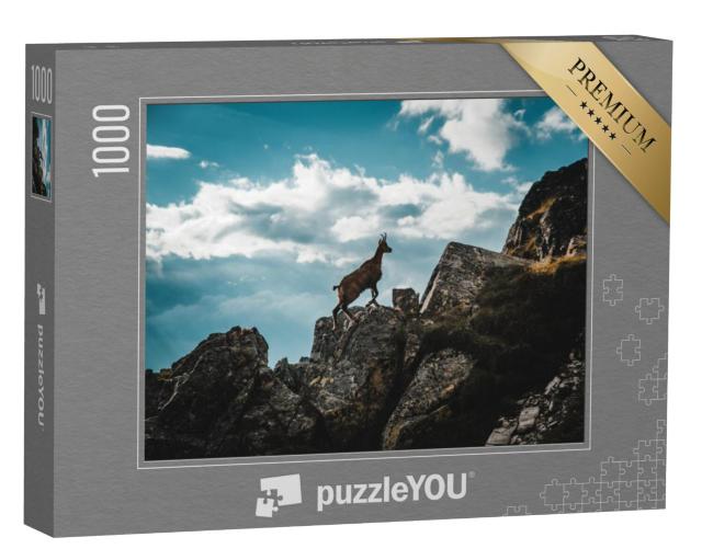 Puzzel 1000 stukjes „Jonge gemzen in de Italiaanse Alpen“