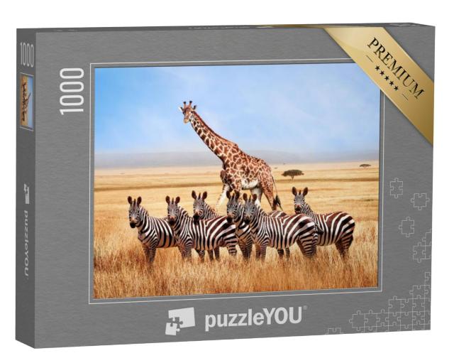 Puzzel 1000 stukjes „Groep zebra's en giraffen op de Afrikaanse savanne, Tanzania“