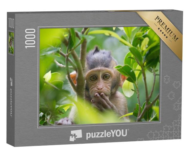 Puzzel 1000 stukjes „Een aap in een bos in Thailand“