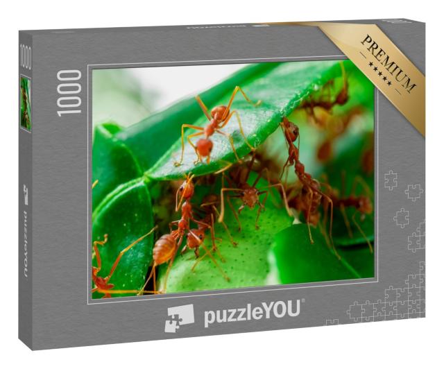 Puzzle „Ameisen auf einem grünen Blatt“