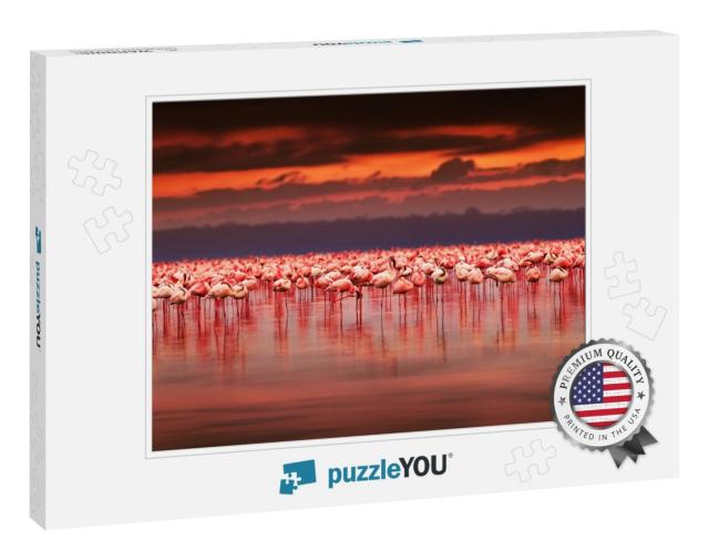 African Flamingos in the Lake Over Beautiful Sunset, Floc... Jigsaw Puzzle