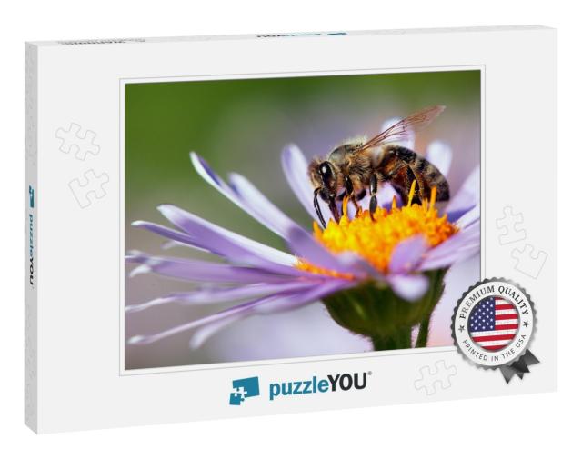 Detail of Honeybee in Latin Apis Mellifera, European or W... Jigsaw Puzzle