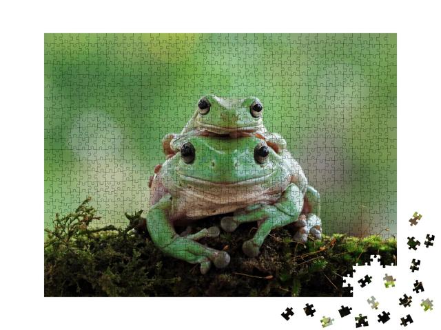 Puzzle 1000 Teile „Weiblicher weißer Laubfrosch mit Jungtier: Mama-Frosch und Baby-Frosch“