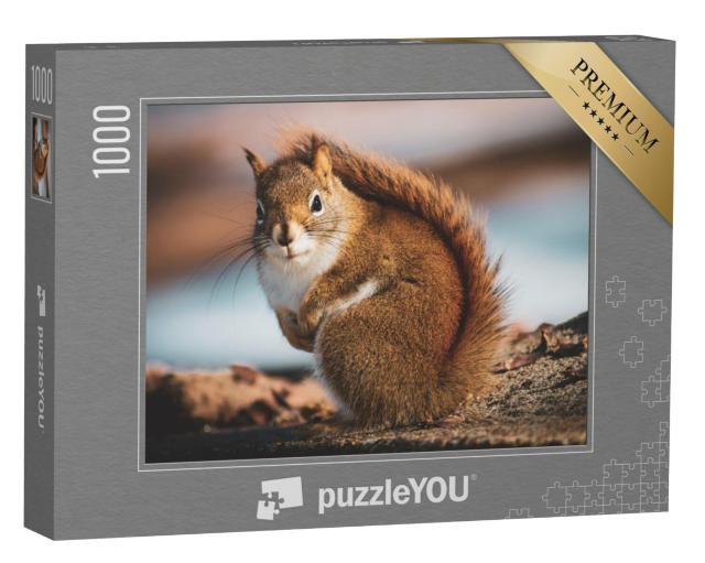 Puzzel 1000 stukjes „Kleine eekhoorn in het bos“