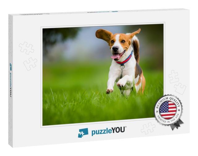 Dog Beagle Running & Jumping with Tongue Out Through Gree... Jigsaw Puzzle