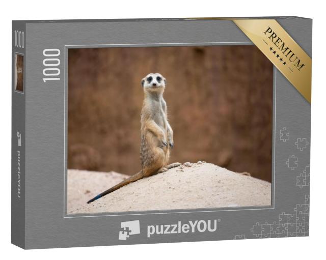 Puzzel 1000 stukjes „Schattig stokstaartje, Suricata suricatta, staand op een rots“