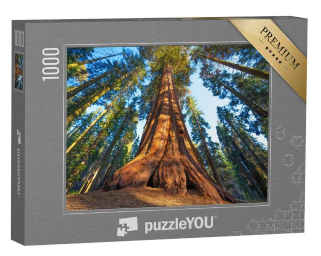 Puzzel 1000 stukjes „Een mammoetboom bij zonsondergang“