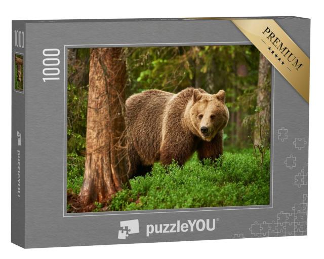 Puzzel 1000 stukjes „Een bruine beer, vrij in de Finse taiga“