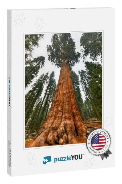 Giant Sequoia Tree - General Sherman in Sequoia National... Jigsaw Puzzle