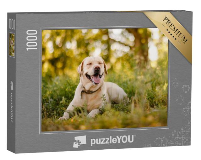 Puzzel 1000 stukjes „Golden Labrador Retriever neemt een pauze in het park“