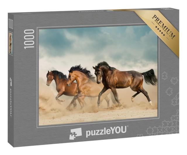 Puzzle 1000 Teile „Schöne braune Pferde streifen durch die Wüste“