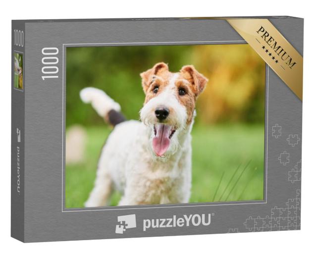 Puzzel 1000 stukjes „Close-up van een gelukkige fox terrier“