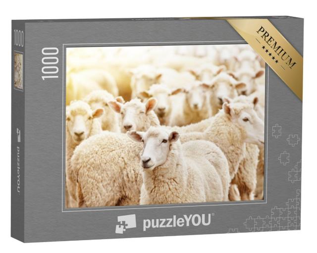 Puzzel 1000 stukjes „Close-up van een kudde schapen“