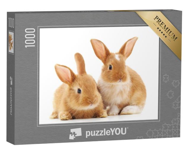 Puzzel 1000 stukjes „Twee kleine lichtbruine konijnen“