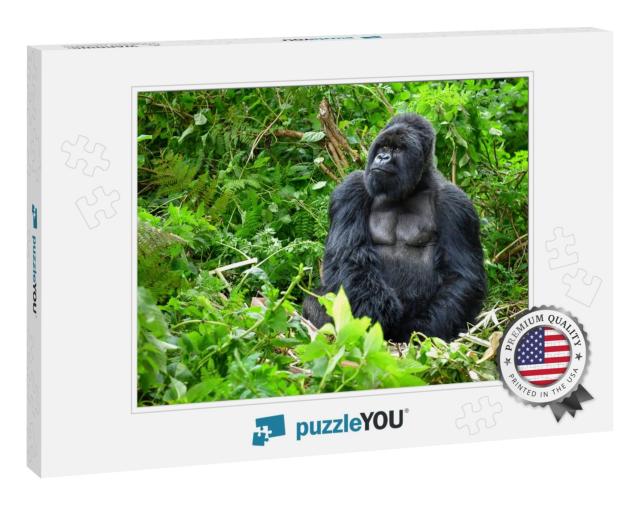 A Silverback Mountain Gorilla in a Rainforest in Rwanda... Jigsaw Puzzle
