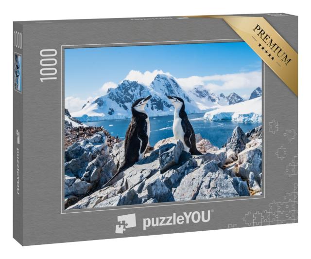 Puzzle 1000 Teile „Zügelpinguin, Antarktis, Januar 2019“