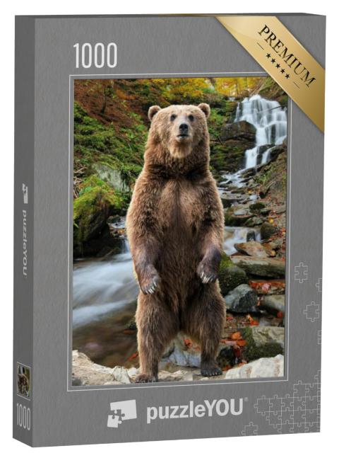 Puzzel 1000 stukjes „Een bruine beer in het herfstbos“