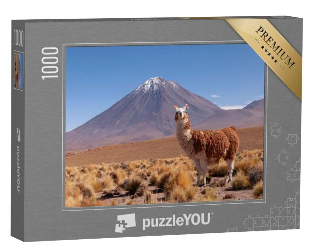 Puzzel 1000 stukjes „Lama, achter hem de vulkaan Licancabur op de grens tussen Bolivia en Chili“