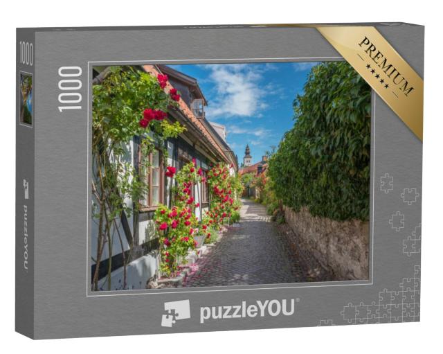 Puzzel 1000 stukjes „Historische Hanzestad Visby in Zweden“