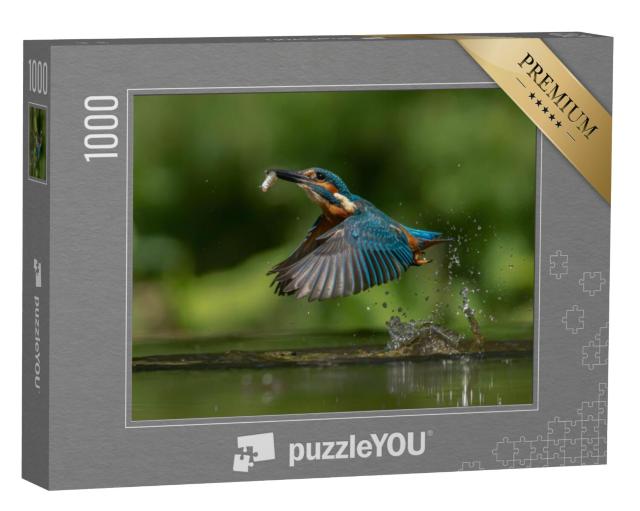 Puzzel 1000 stukjes „Europese ijsvogel, Alcedo atthis met vis als prooi“