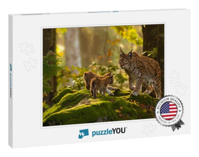 Young Lynxes... Jigsaw Puzzle