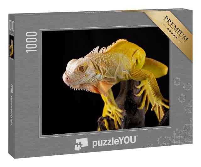 Puzzle 1000 Teile „Gelber Leguan: Albino auf Holz“