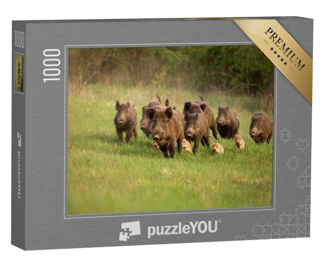 Puzzel 1000 stukjes „Groep wilde zwijnen in de lente“